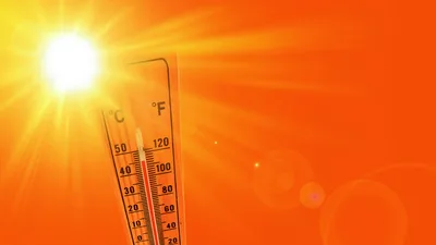 Dangerous Pacific Northwest Heat Wave Suspected in 7 Deaths