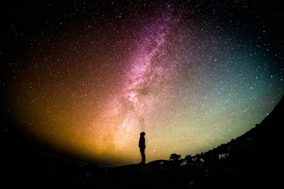 'Darwin's Doubt': Intelligent Design and Evidence-Based Faith