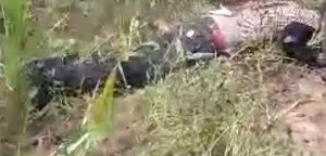 Christian Slain with Swords by Muslim Extremists in Uganda - Morningstar News