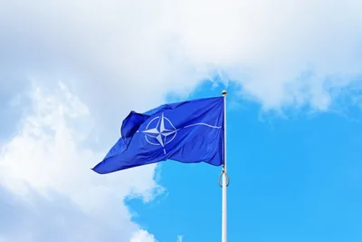 Pope Francis says NATO, 'barking at Russia's door,' shares blame for Ukraine