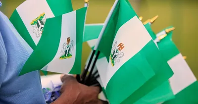 Dozens dead in Nigeria after gunmen attack rural town