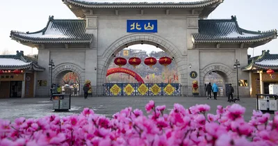 Four U.S. college professors stabbed in China