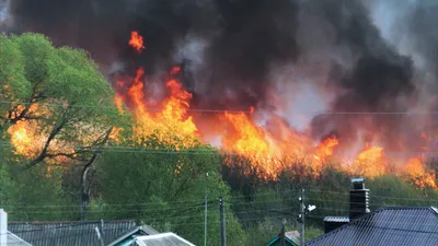 This is a 'Climate Emergency'? It was Much Hotter with More Wildfires in the 1930s