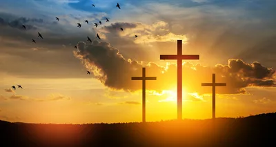 How to Be Reconciled to God