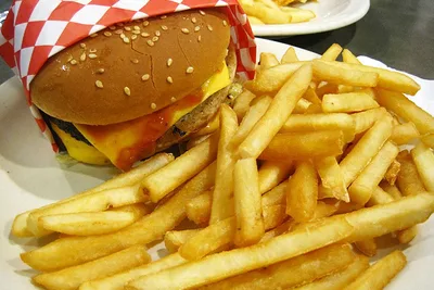 Diet High in Fat, Calories Could Reduce the Brain’s Ability to Regulate How Much People Eat