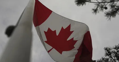 Canadian Doctors Struggle with Euthanasia Standards, Investigation Shows