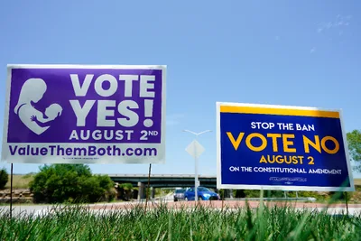 Should we put up political signs in our yards?