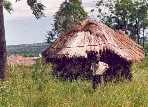 Three Church Buildings Torched in Tanzania - Morningstar News