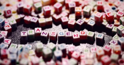 21 States Challenge Florida School’s Transgender Policy