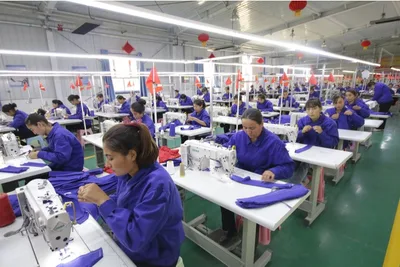 Senate passes legislation restricting imports from Uyghur forced labor