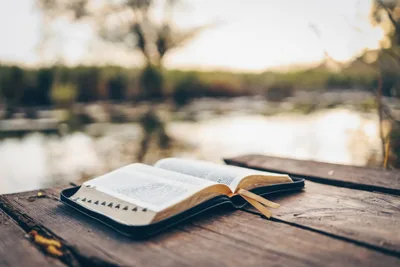 Faith focus: Navigating the New Year with help from the Bible