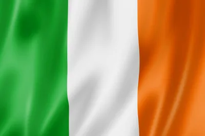 Update: Irish voters overturn abortion ban | Baptist Press