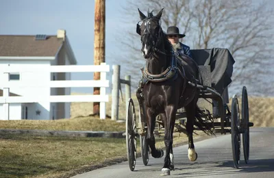 Amish Man Reportedly Jailed Over Building Permit, County Accused of Criminalizing 'Being Amish' | CBN