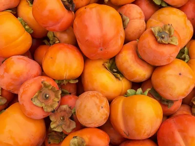 COVID-19 Gives New Life to Ancient Practice of Gleaning