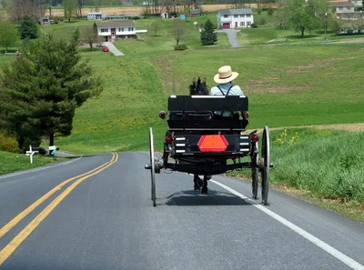 Amish survived COVID-19 better than most by not locking down, ceasing church gatherings: report