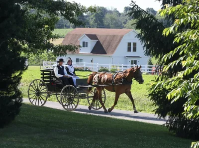 Supreme Court revives Amish challenge to New York student vaccination requirement