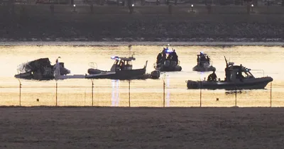 No Survivors in D.C. Plane, Helicopter Crash, Says Official