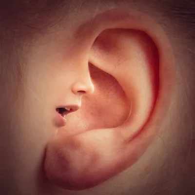 Be Careful, Little Ears, What You Hear