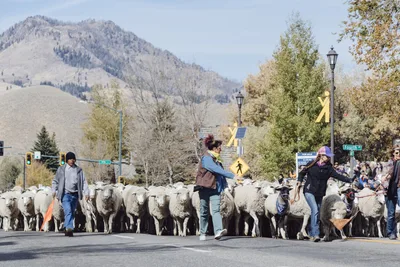3 places to go this fall