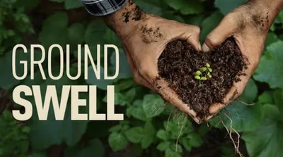 'Groundswell' regenerative rancher urges consumers to rethink where food comes from: doc