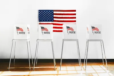 Why Bother Voting?