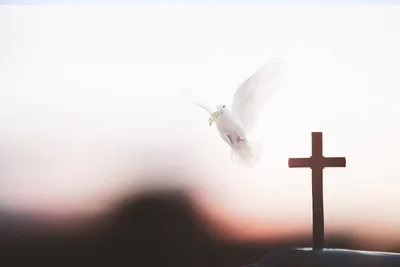 The cross of Christ helps us make sense of suffering in the world