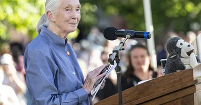 Groundbreaking Animal Scientist Jane Goodall Dies at 91