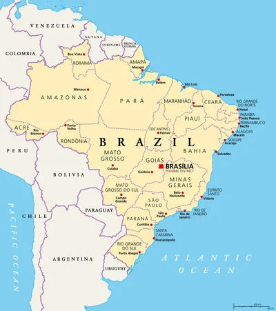 Churches open as shelters in flood-hit Brazil