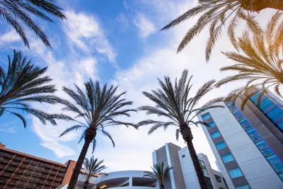 FIRST-PERSON: 4 Reasons why I am looking forward to Anaheim, and you should be too! | Baptist Press