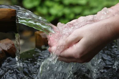 The Pit, the Spring and the Well: Lessons for the Nation's Wellbeing from Proverbs 5