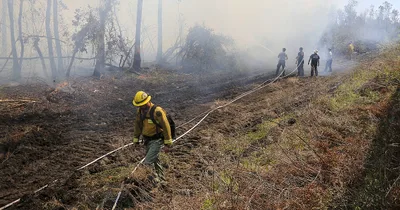 Florida wildfires force evacuations