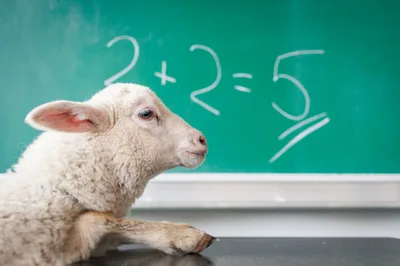 The State Shouldn’t Pick Winners & Losers in Religion