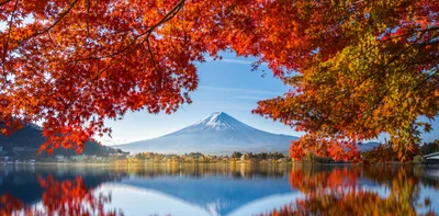The extraordinary faith and courage of the Martyrs of Japan
