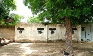 Boko Haram Kills Seven Christians in Borno State, Nigeria - Morningstar News