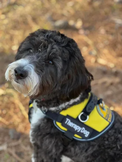 Arkansas Baptist DR welcomes first four-legged volunteer | Baptist Press