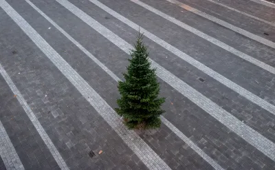 Unsettling Advent 2022, Day 24