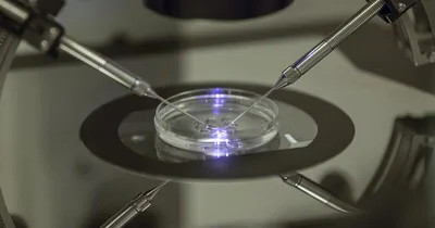 Alabama healthcare providers pause IVF after pro-life embryo ruling