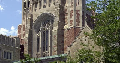 Law Faculty Feel Unable to Speak Freely, Survey Finds