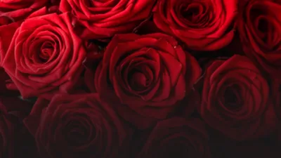 COMMENTARY: Five Lessons from 48 Valentines Together
