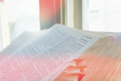 Skibidi, Delulu and Lewk Have Officially Been Added to the Cambridge Dictionary - RELEVANT