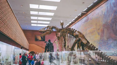 FIRST-PERSON: We need to talk about the dinosaurs | Baptist Press