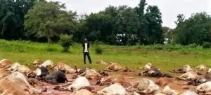Pastor Fears for His Life following Death Threats in Uganda - Morningstar News