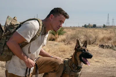 Channing Tatum Balances Humor And Grief in His Directorial Debut, 'Dog' - RELEVANT