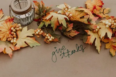 Thanksgiving Series: Psalm 100 and the Proclamation of Thanksgiving
