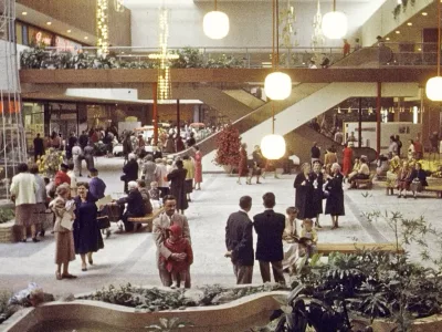 The Mall, the Tiger, and Our Unendurable Isolation