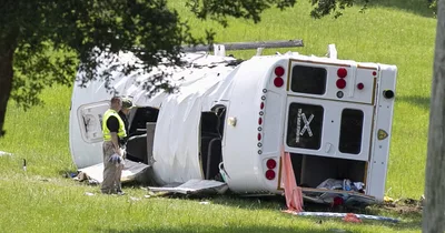Florida bus crash kills eight Mexican nationals, injures dozens more