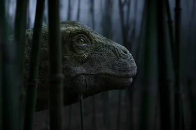 6 Documentaries That Will Challenge the Way You See the World - RELEVANT