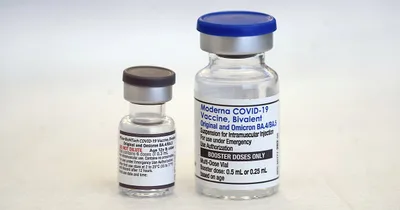 White House Sets Plan for Biodefense