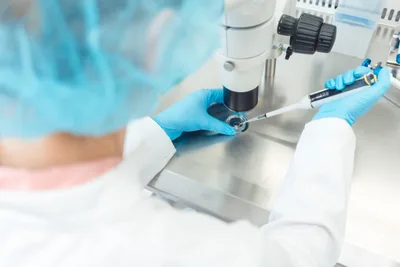 Human Embryo Research Plans are 'an attack on the sanctity of human life''