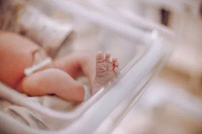 Report Shows 6% Decrease in Abortions in Six Months after Dobbs Decision